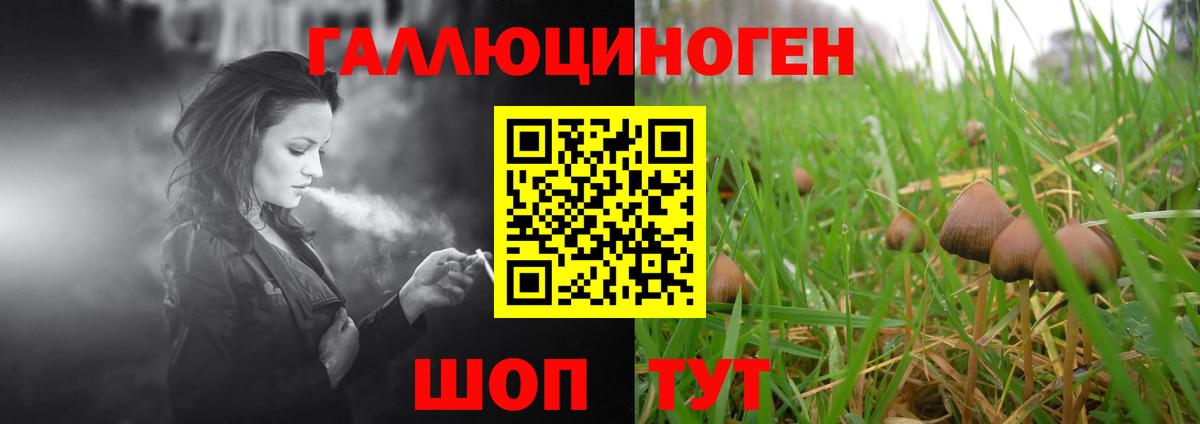 Холмск  Псилоцибиновые грибы GOLDEN TEACHER  Вход с VPN 