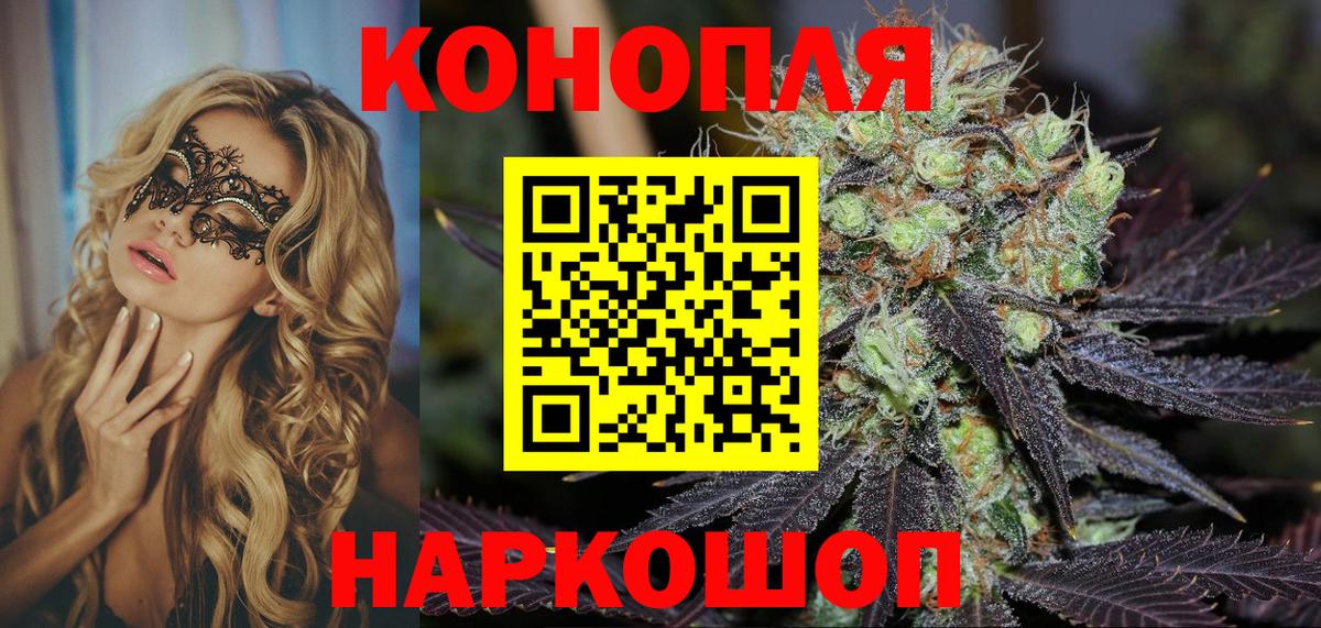 Каннабис планчик Холмск